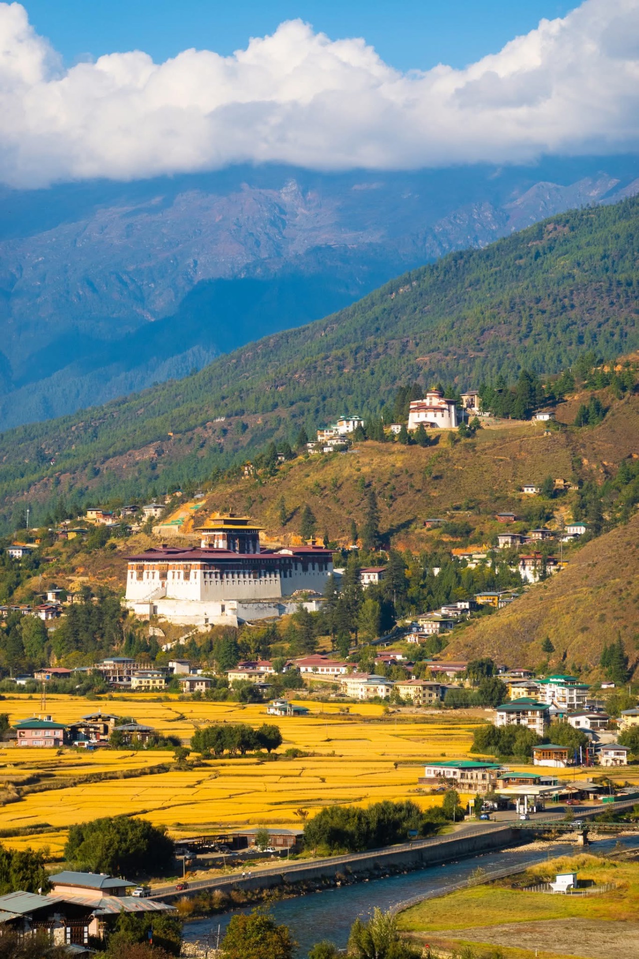 Rinpung Dzong above the golden rice fields of the Paro valley
