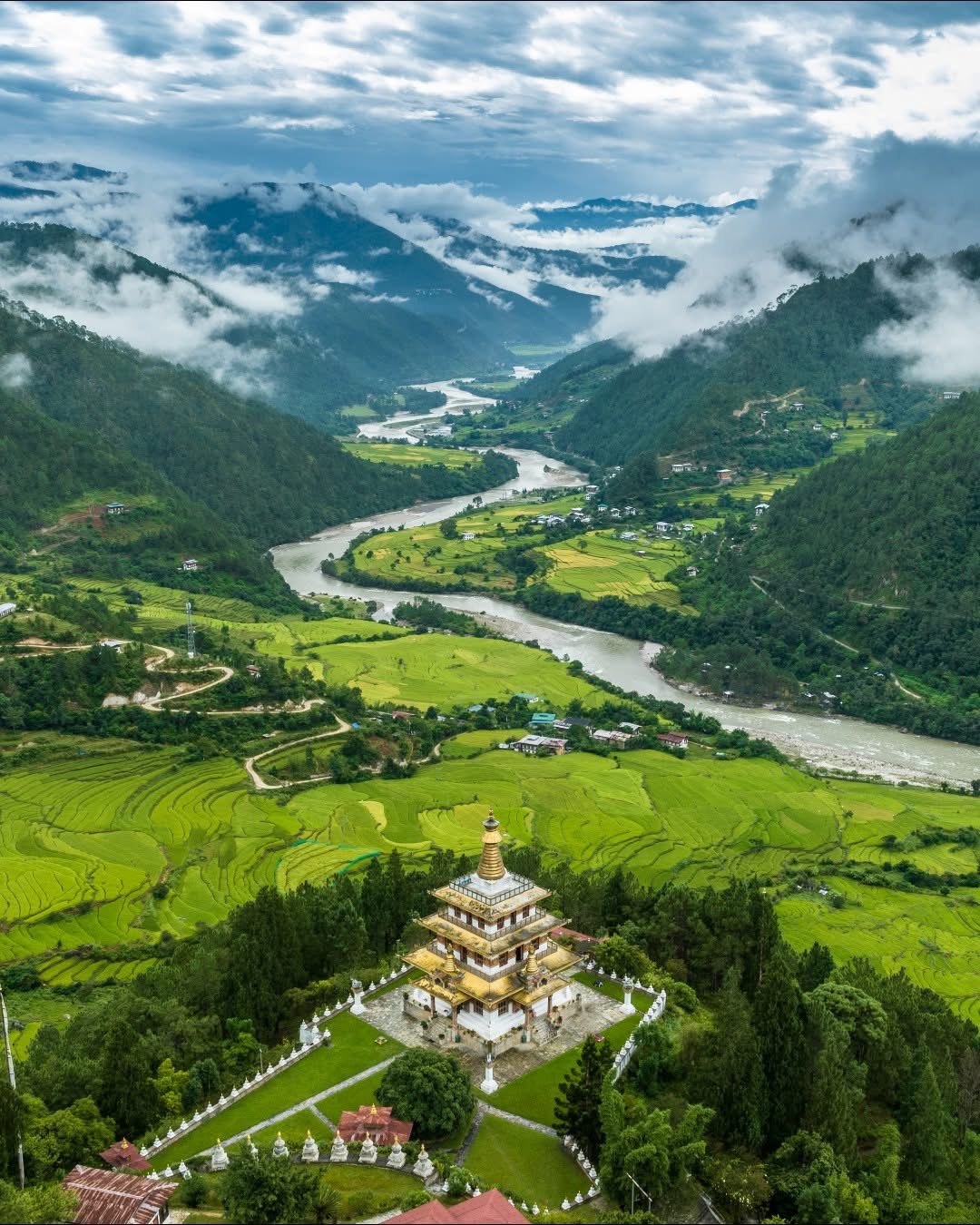 A golden-roofed chorten above the terraced rice fields of the Punakha valley