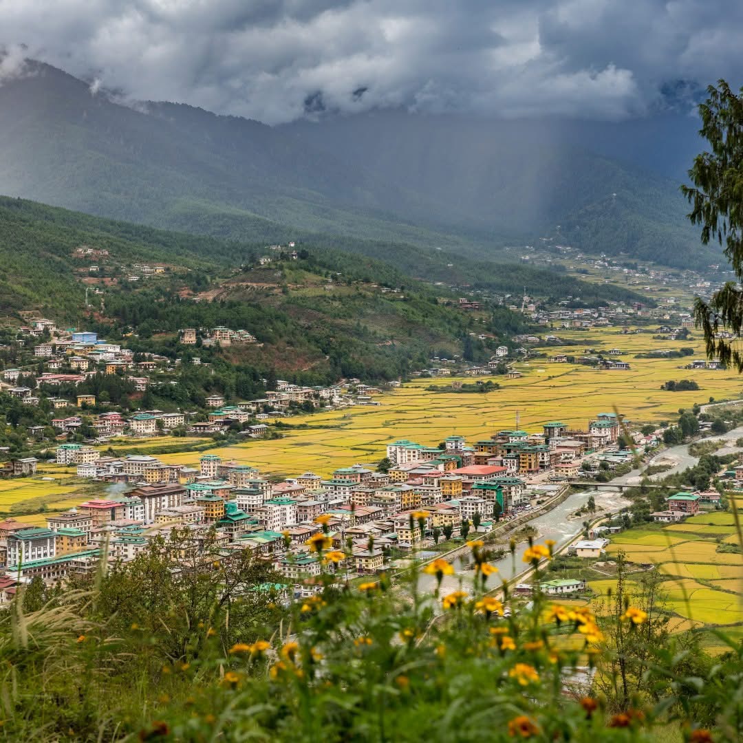 The Paro valley with terraced fields and forested ridges